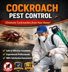 Cockroach Infestation - Urban Pest Solutions