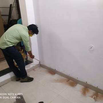 Termite and Cockroach Treatment