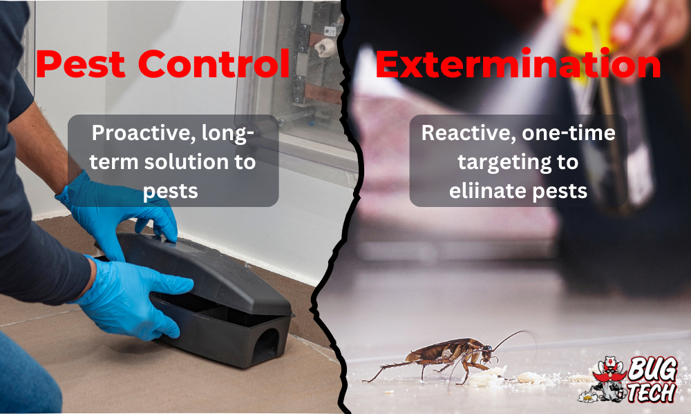 Comparison: Proactive vs Reactive Pest Control